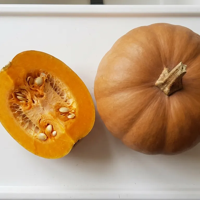 Pumpkin